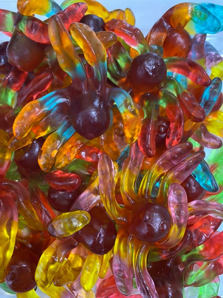 Gummy Octopus